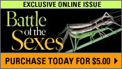 Battle of the Sexes